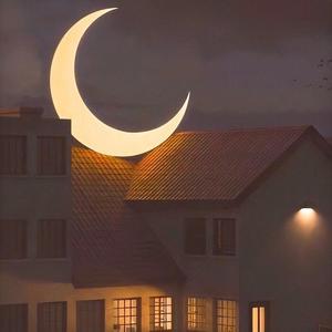 成人午夜妓女视频
